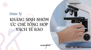 Kháng sinh nhóm ức chế tổng hợp vách tế bào