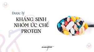Kháng sinh nhóm ức chế protein
